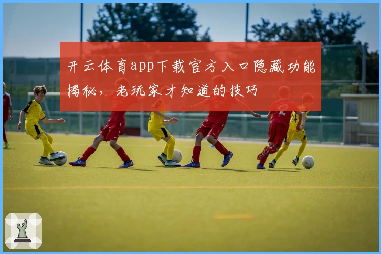 开云体育app下载官方入口隐藏功能揭秘，老玩家才知道的技巧