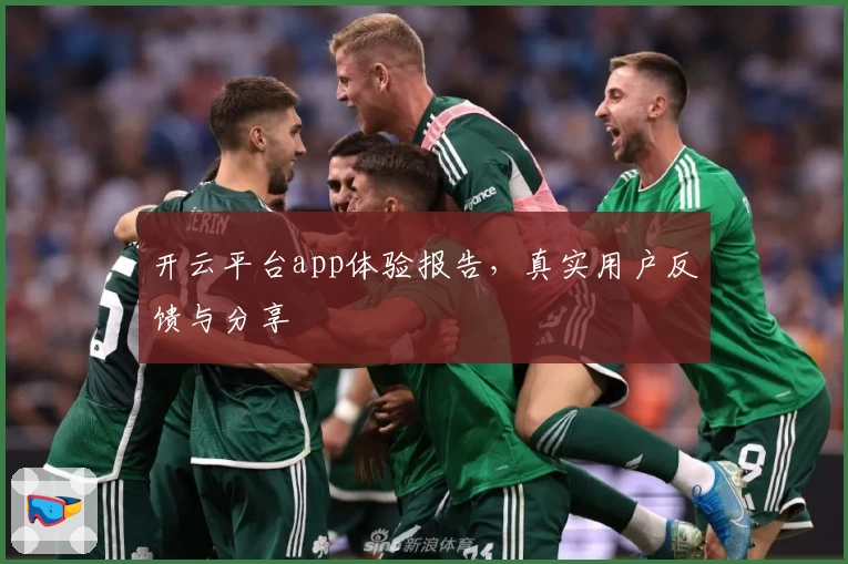 开云平台app体验报告，真实用户反馈与分享