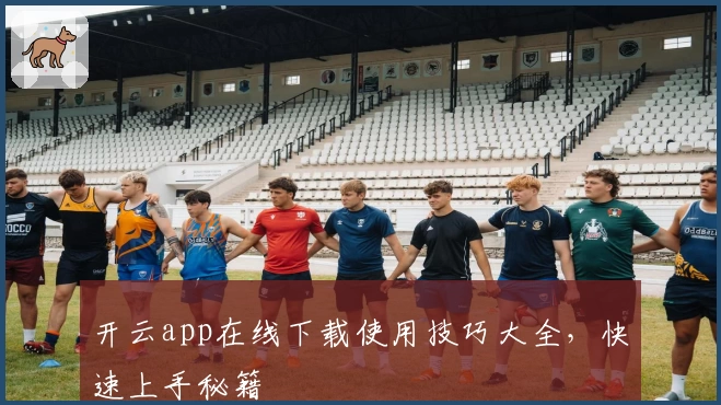 开云app在线下载使用技巧大全，快速上手秘籍