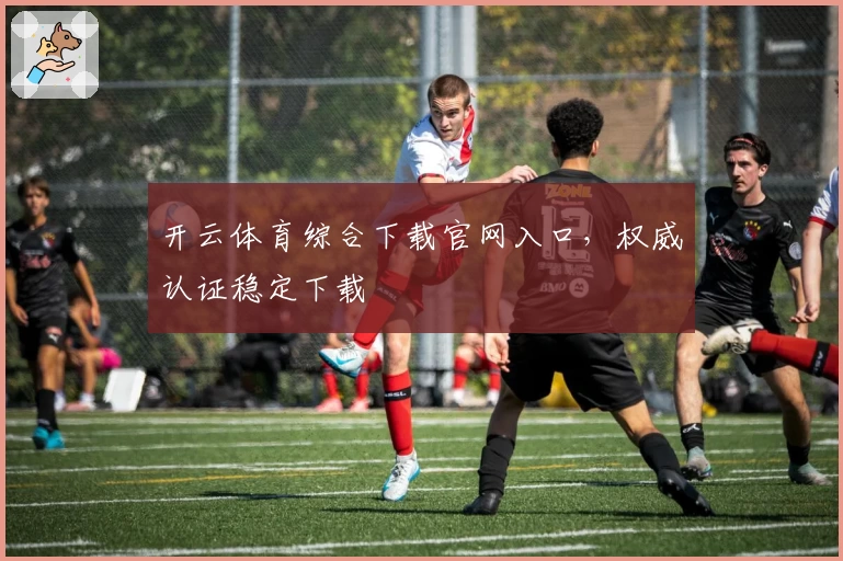 开云体育综合下载官网入口,权威认证稳定下载