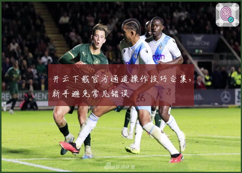 开云下载官方通道操作技巧合集，新手避免常见错误