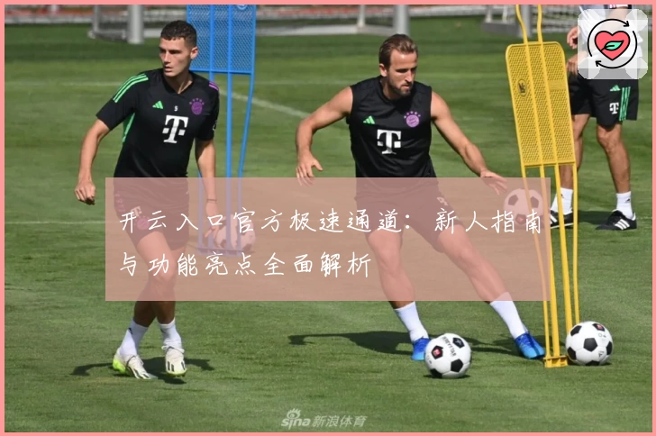 开云入口官方极速通道:新人指南与功能亮点全面解析
